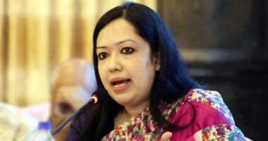 শেখ হাসিনার ১৫ বছরের শাসনব্যবস্থার সঙ্গে বর্তমান সরকারের খুব বেশি পার্থক্য নেই : রুমিন ফারহানা