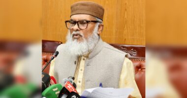 আগামীতে মন্ত্রিত্ব দিতে চাইলেও নেব না, এটিই আমার শেষ দায়িত্ব : ধর্ম উপদেষ্টা