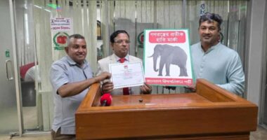 আমেরিকার মতো বাংলাদেশ রিপাবলিকান পার্টিও পেলো হাতি প্রতীক