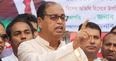 গণহত্যার বিচারের পর দেখা যাবে আওয়ামী লীগ নির্বাচনে আসবে কিনা : শামসুজ্জামান দুদু