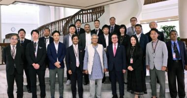 বাংলাদেশ থেকে এক লাখ দক্ষ কর্মী নেবে জাপান,         প্রধান উপদেষ্টাকে এনবিসিসি প্রতিনিধিদল