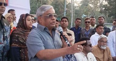 নির্বাচিত সরকার ছাড়া দেশে উন্নয়ন হবে না : বুলু