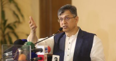 ঐকমত্য কমিশন ও সরকারের কর্মকাণ্ডে বিএনপি হতাশ : সালাহউদ্দিন আহমদ