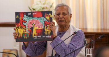 যত ঝড়ই আসুক সেটা অতিক্রম করে নির্বাচন করতেই হবে : ড. ইউনূস