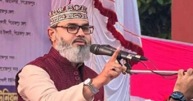 টেকসই গণতন্ত্র, সুশাসন ও জবাবদিহিতা ছাড়া দেশের উন্নয়ন সম্ভব নয় : মাসুদ সাঈদী