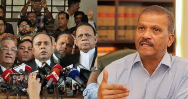 বিচার বিভাগ নিয়ে আসিফ নজরুলের কণ্ঠে ফ্যাসিস্টের সুর : কায়সার কামাল