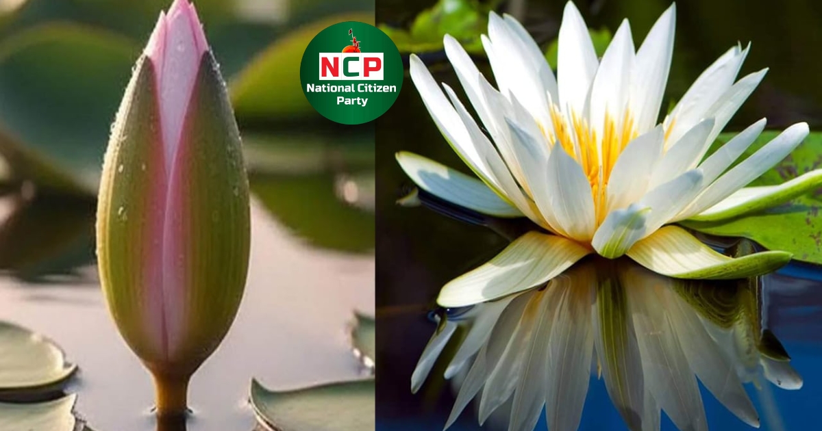 কলিতে সন্তুষ্ট নয়, ফুলই চান এনসিপি নেতারা