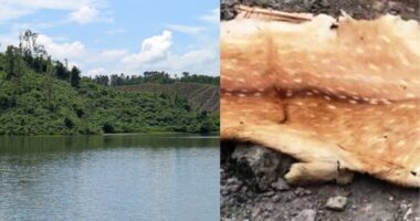 পর্যটন স্পট বান্দরবানের প্রান্তিকলেক–কদুখোলায় বন্যপ্রাণী শিকার ও পাচারে রোহিঙ্গা চক্র