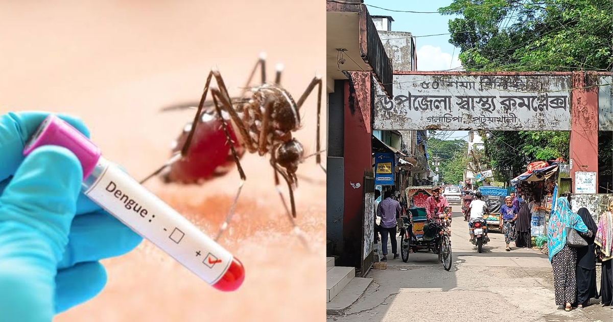 গলাচিপায় ডেঙ্গুতে গৃহবধূর মৃত্যু, আতঙ্কে এলাকাবাসী