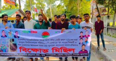 জবি ছাত্রদল নেতা জুবায়েদ হত্যার বিচারের দাবিতে ভোলা সরকারি কলেজ ছাত্রদলের বিক্ষোভ