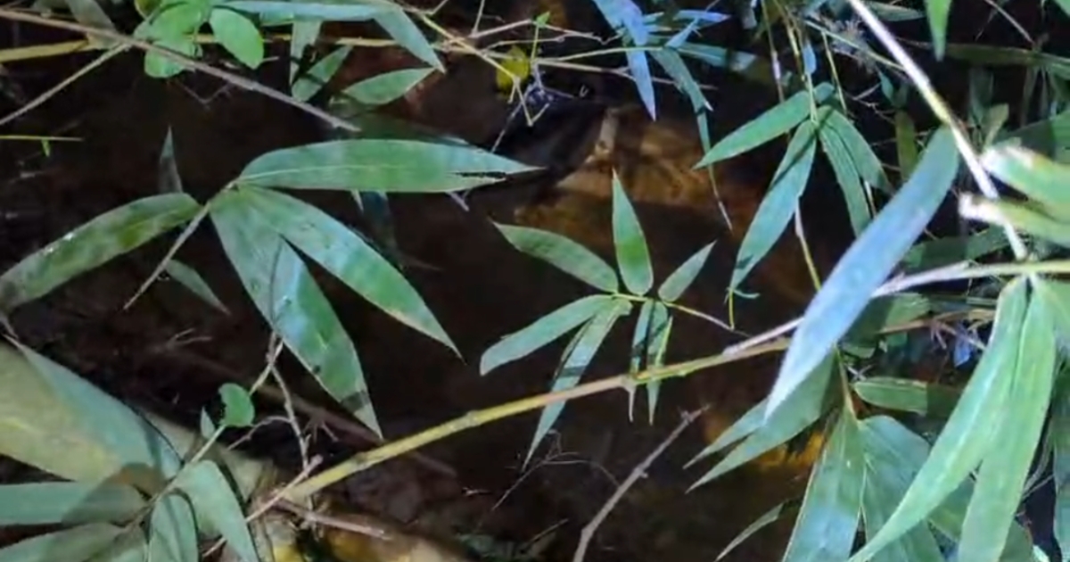 লক্ষ্মীপুরে নিখোঁজের একদিন পর রাজমিস্ত্রির লাশ উদ্ধার