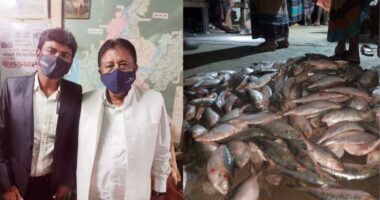 সরকারি নিষেধাজ্ঞা অমান্য করে মৎস্য কর্মকর্তা ও ছাত্রলীগ নেতার ইলিশ শিকার