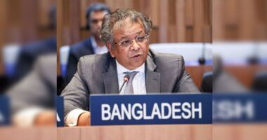 ইউনেস্কোর শীর্ষ পদে নির্বাচিত হয়ে ইতিহাস বাংলাদেশের, প্রার্থীতা প্রত্যাহার ভারতের