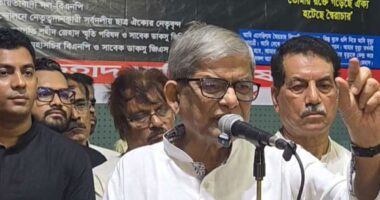 মার্কা দেওয়ার এখতিয়ার ইসির, ধানের শীষ নিয়ে টানাটানি কেন?