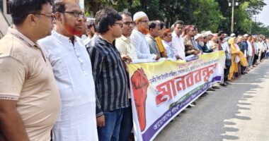 মেহেরপুরের গাংনীতে শিক্ষকদের মানব বন্ধন