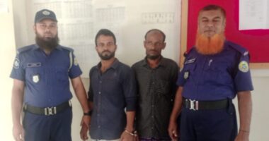 নিষেধাজ্ঞা অমান্য করে ইলিশ মাছ শিকার, দুই জেলের ১ মাসের কারাদণ্ড