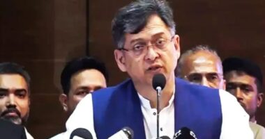 নভেম্বরেই দেশে ফিরবেন তারেক রহমান, আশা সালাহউদ্দিনের