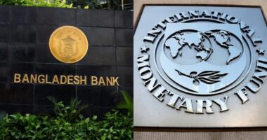 রিজার্ভ বৃদ্ধিতে বাংলাদেশ ব্যাংকের উদ্যোগ প্রশংসনীয়: আইএমএফ