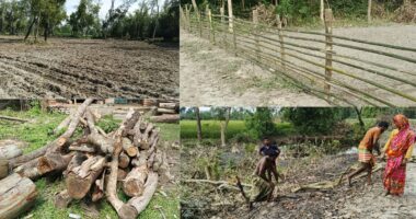 ধ্বংসের দ্বারপ্রান্তে গোসাইগঞ্জ বনবিভাগ, দিনরাত চলছে গাছ কর্তন ও জমি দখল