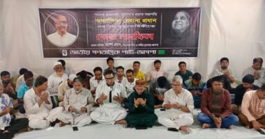 বাংলাদেশের মানুষ ভারতীয় আধিপত্যবাদ আর মেনে নিবে না: রাশেদ প্রধান