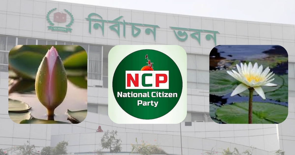 ‘শাপলা কলি’ নয়, শাপলাই চায়! অন্য কোনো বিকল্প বিবেচনা করছে না এনসিপি