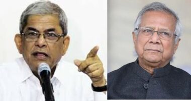 অন্তর্বর্তী সরকার জনগণের সঙ্গে বিশ্বাসঘাতকতা করেছে : মির্জা ফখরুল