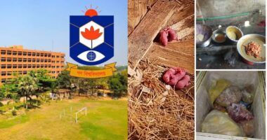 গবি ক্যান্টিনে গকসু'র অভিযান: অস্বাস্থ্যকর পরিবেশে পাওয়া গেলো ইঁদুর ও বাসি খাবার