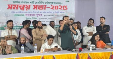 আগামীতে শাপলাই হবে নৌকার বিকল্প , নৌকা ডুবে গেছে, শাপলা ভাসবে : সরোয়ার তুষার