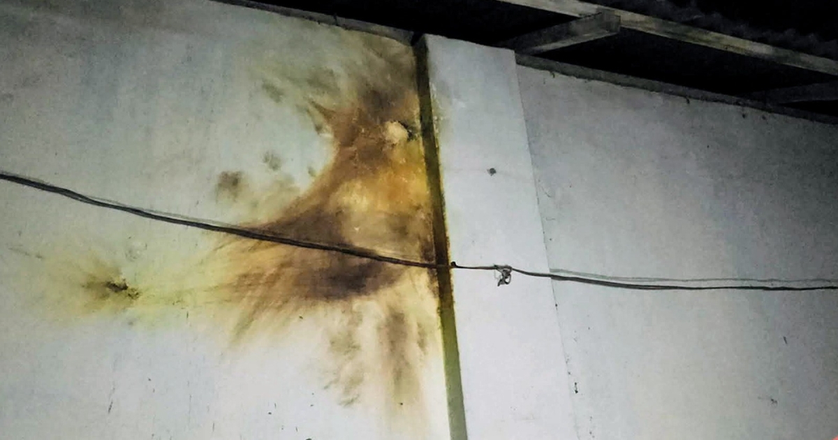 শরীয়তপুর এনসিপির অফিসে হাত বোমা নিক্ষেপ ও বিস্ফোরণের ঘটনা ঘটেছে