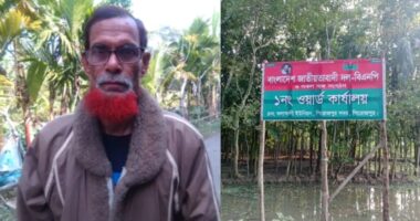 বিএনপির কার্যালয়ের সাইনবোর্ড সাঁটিয়ে প্রবাসীর জমি দখল