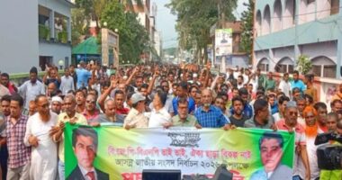 ভোলা-১ আসন থেকে নির্বাচনের ঘোষণা দিলেন আন্দালিব রহমান পার্থ