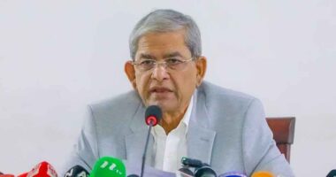 গণতন্ত্রকে হুমকির মুখে ফেলতে বিভিন্ন চক্রান্ত চলছে : মির্জা ফখরুল