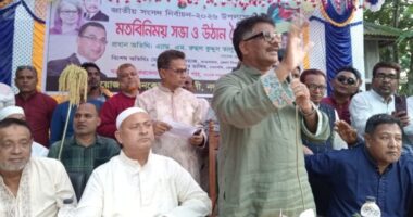 হাসিনা পালিয়ে থেকে বাংলাদেশে অগ্নি সন্ত্রাস শুরু করেছে : দুলু