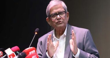 যত দ্রুত নির্বাচনের মাধ্যমে সরকার গঠন করা যায় ততই দেশের জন্য মঙ্গল : মির্জা ফখরুল