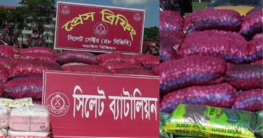 বিজিবির অভিযানে সিলেট সিমান্তে ভারতীয় পেয়াজ জব্দ