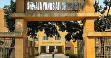 খাজা ইউনুস আলী বিশ্ববিদ্যালয়ে সহিংসতা : দুই দিনে শিক্ষক–শিক্ষার্থী আহত, ক্যাম্পাসে চরম উত্তেজনা