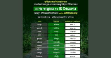 মনপুরার উন্নয়নে বড় সুখবর দিল, স্থানীয় সরকার বিভাগ