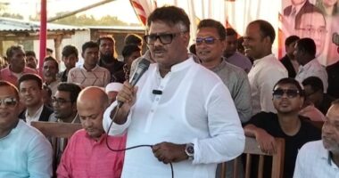 শেখ হাসিনা শুধু নিজের পরিবার না, আ.লীগের মতো ঐতিহ্যবাহী দলকেও ধ্বংস করে দিল : দুলু