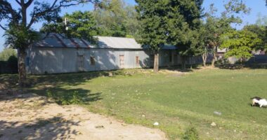 কালিহাতীতে শিল্পপতি ফিরোজের বিরুদ্ধে ২২ শতাংশ জমি দখলের অভিযোগ