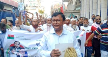 তারুণ্য নির্ভর নতুন বাংলাদেশ গড়তে ধানের শীষে ভোট চান পুস্তি