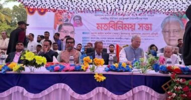 জনগণের সরকার ফিরে আসছে’ : আলতাফ হোসেন চৌধুরী 