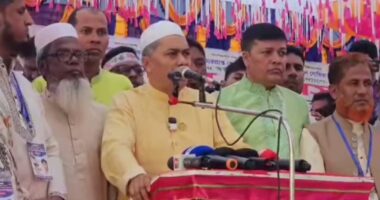 দলের কিংবা জোটের সিদ্ধান্ত যাই হোক, পটুয়াখালী-৩ আসনে বিএনপি নিজস্ব প্রার্থীই দেবে : হাসান মামুন