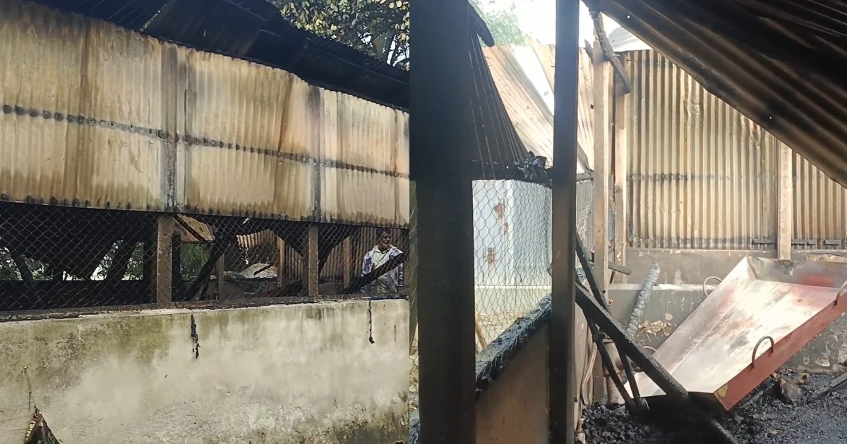 শর্টসার্কিটের আগুনে সিংগাইরে কৃষকের ভয়াবহ ক্ষতি, পুড়ে মরল ৮ গবাদিপশু