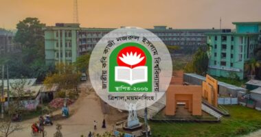 নজরুল বিশ্ববিদ্যালয়ের ইতিহাস বিভাগ পদ আসার আগেই ‘চূড়ান্ত’ তিন প্রার্থী