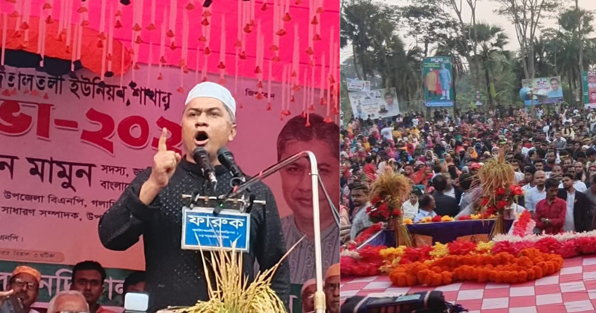 ‘নিজস্ব প্রার্থী নিয়েই মাঠে নামবে বিএনপি’ : হাসান মামুন