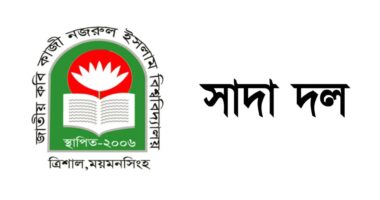 নজরুল বিশ্ববিদ্যালয়ে ৬ দাবিতে উপাচার্যের সাথে সাক্ষাৎ সাদা দলের শিক্ষকদের