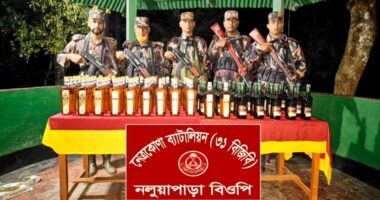 দুর্গাপুর সীমান্তে বিজিবির টহলে ৭১ বোতল বিদেশি মদ উদ্ধার