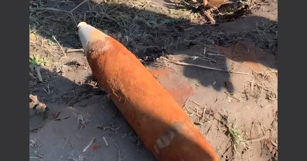 লালমনিরহাটে ফসলি জমির নিচে মিলল মুক্তিযুদ্ধের সময়ের মর্টার শেল