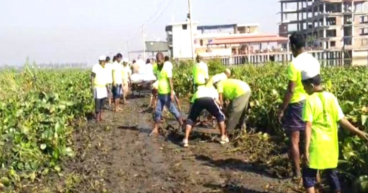 নাটোরে জামায়াত প্রার্থী অধ্যাপক ইউনুছ আলীর উদ্যোগে ৬ কিলোমিটার রাস্তার পরিচ্ছন্নতা কর্মসূচি