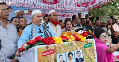 জনগণ ও স্থানীয় নেতা–কর্মীদের সমর্থনেই বিএনপির মনোনীত প্রার্থী নির্বাচিত হবেন : হাসান মামুন